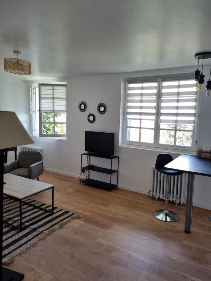 Location Saisonniere Appartement Situe A Saumur Buitenkant foto