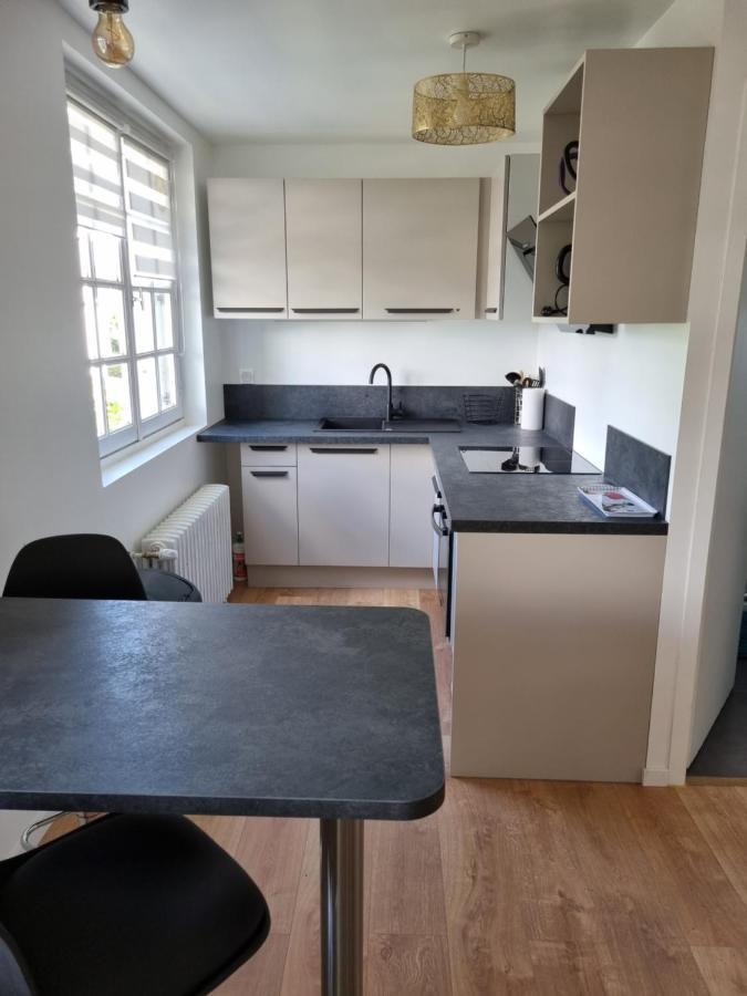 Location Saisonniere Appartement Situe A Saumur Buitenkant foto