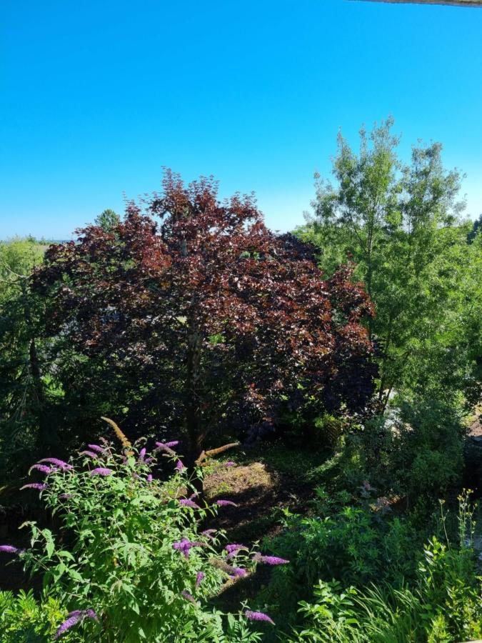 Location Saisonniere Appartement Situe A Saumur Buitenkant foto
