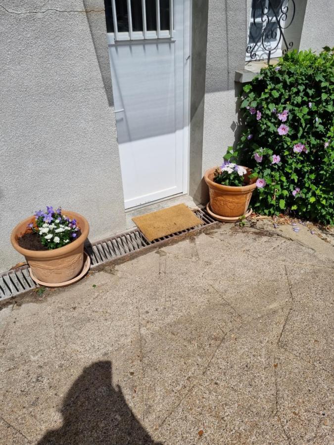 Location Saisonniere Appartement Situe A Saumur Buitenkant foto