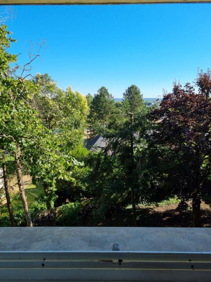 Location Saisonniere Appartement Situe A Saumur Buitenkant foto
